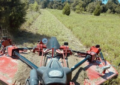 Bush Hogging Services for Large Fields