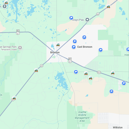 bush hogging services near Bronson Florida Map of bush hogging services near Bronson Florida