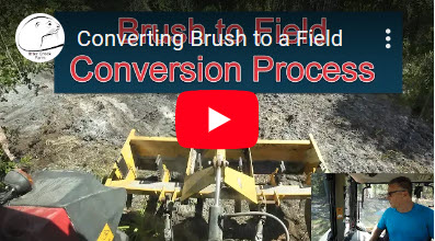 Brush to field conversion process