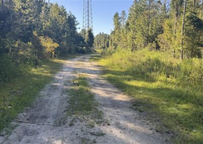 Cell tower maintenance service 2