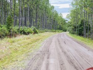 Land Clearing and Road Maintenance