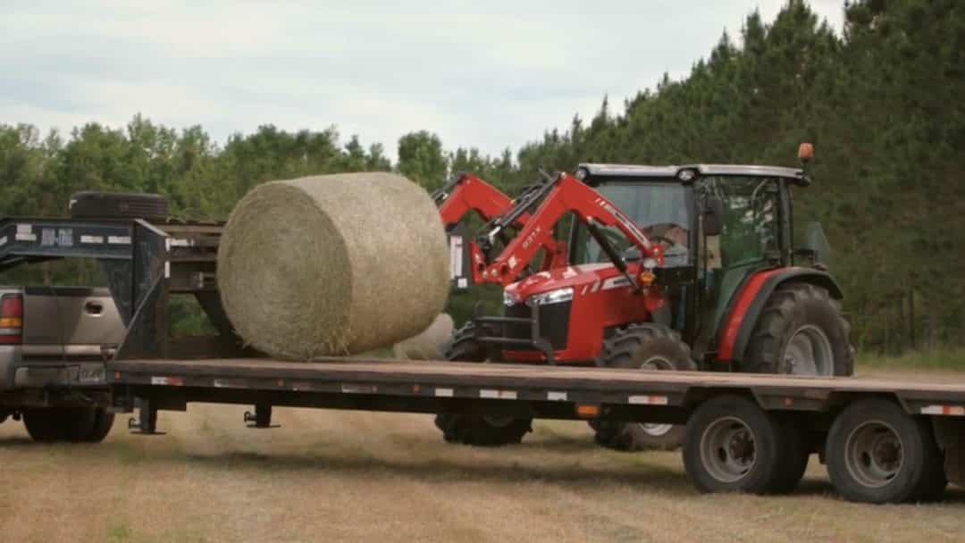 Bush Hogging Service Near Me Reliable Solutions for Lawn Maintenance