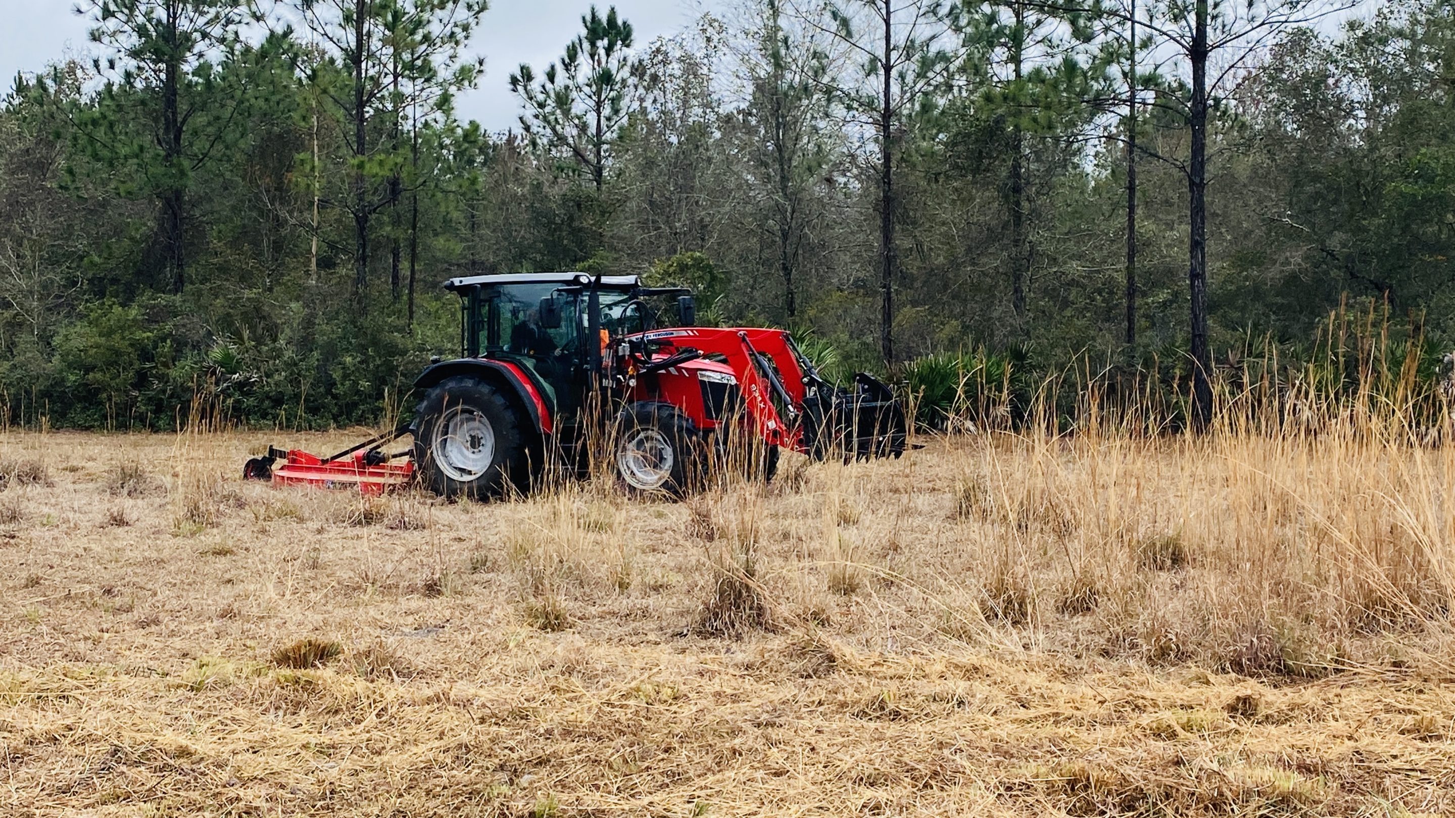 Bush Hogging Levy County