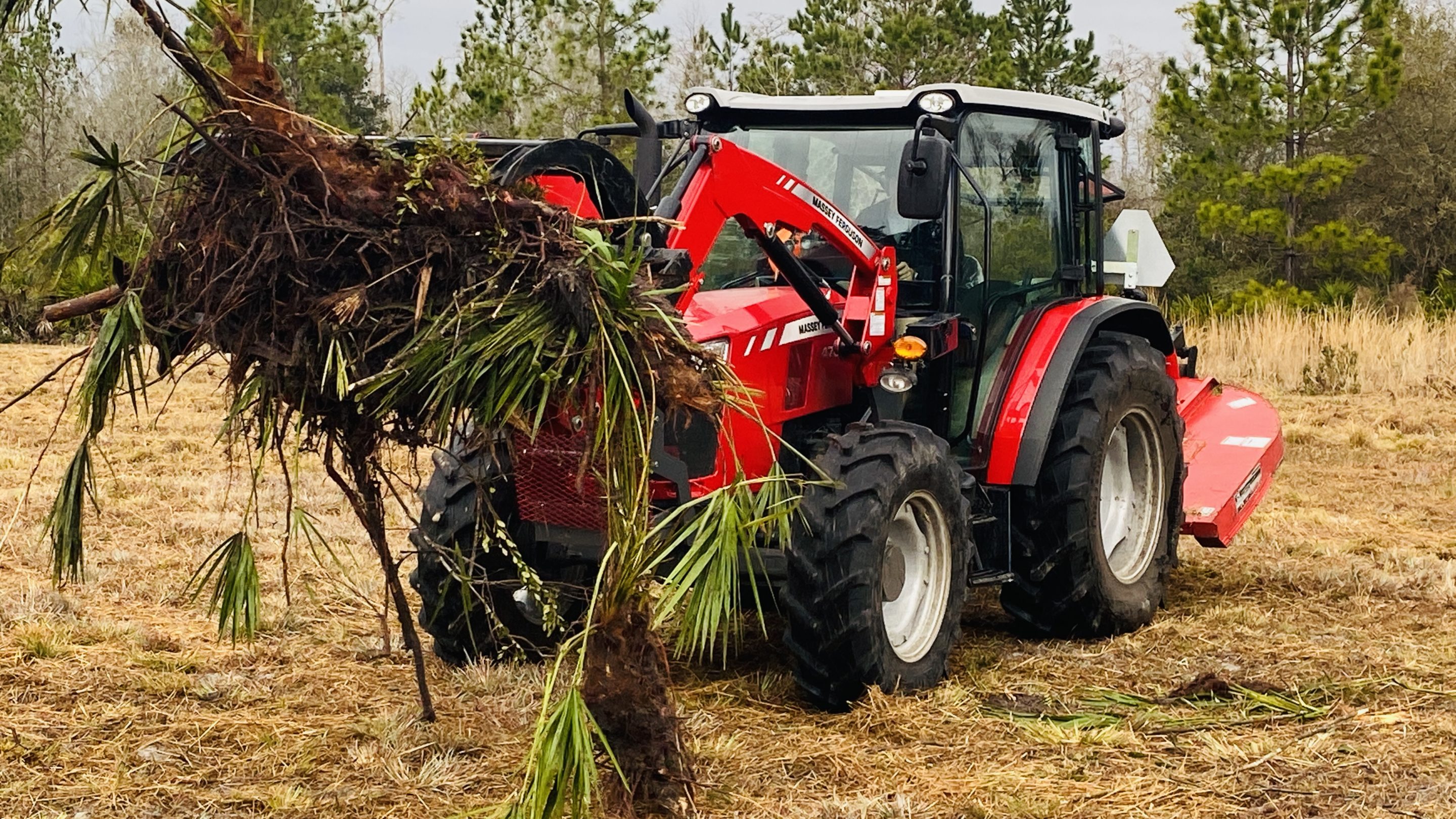 Debris Removal Near Me