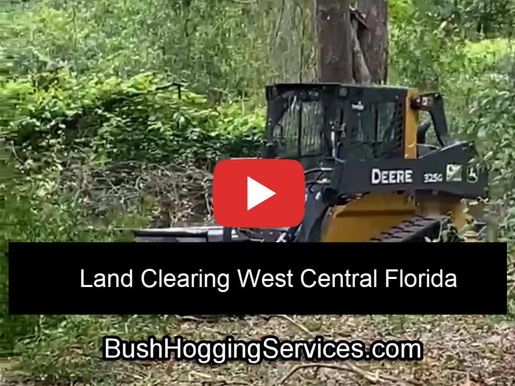 Land Clearing Near Me FL
