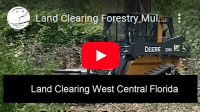 Land clearing forestry services