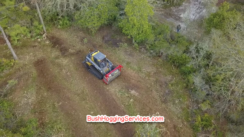 Land Clearing Services Near Me
