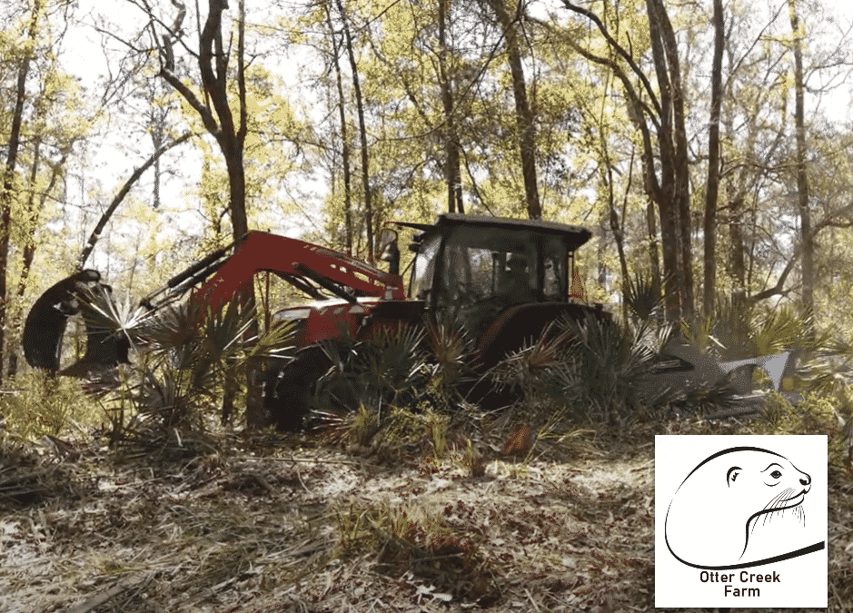 Land Clearing Levy County