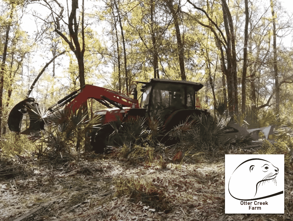 Land Clearing in Levy County