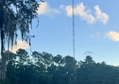 radio tower ground maintenance services